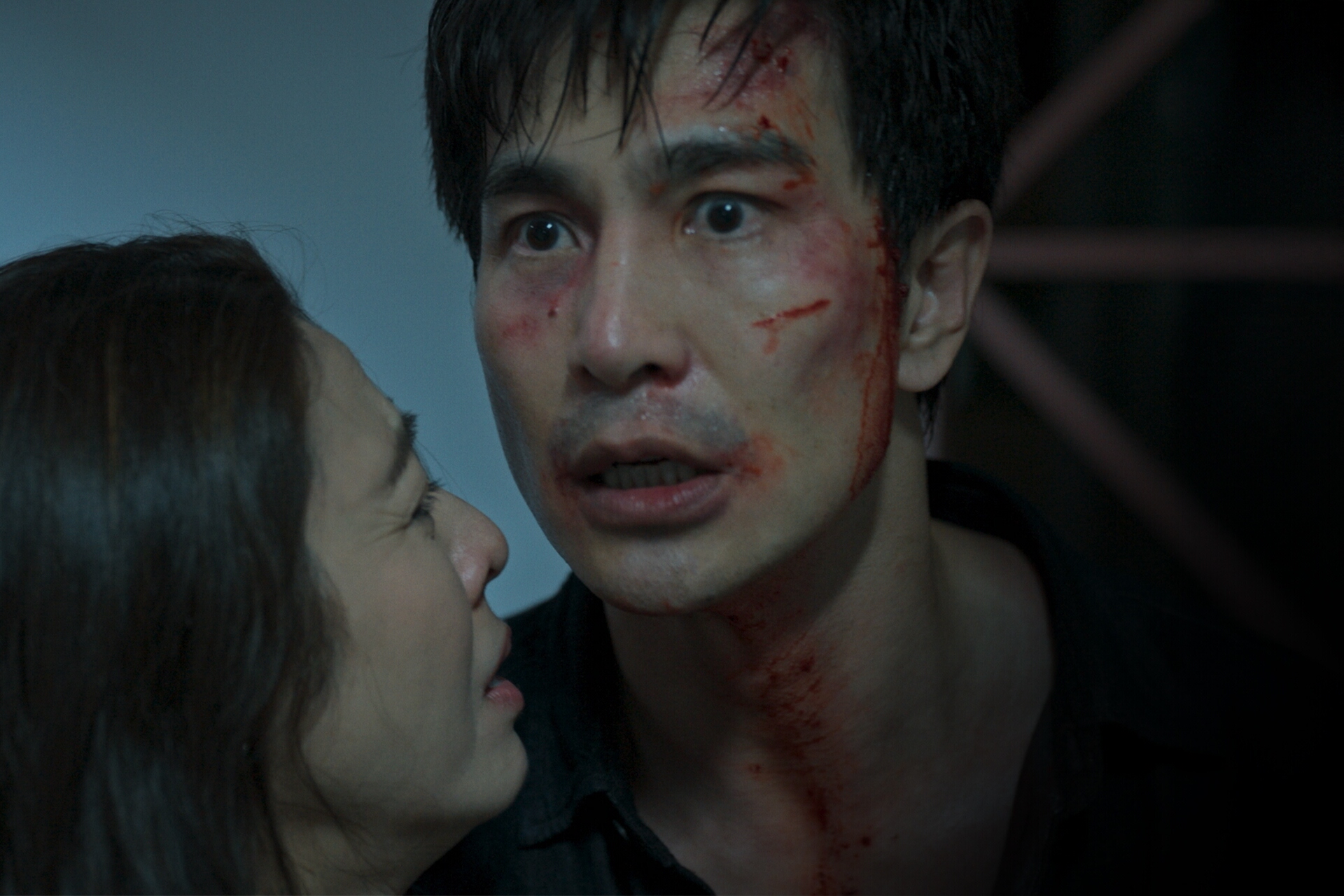 เรื่องย่อ ทวิญ ร่างฉัน วิญญาณเธอ Decalcomania (2025) ซีรีส์ดราม่าเหนือธรรมชาติ