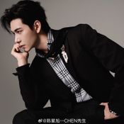 เฉินซิงซวี่ นักแสดงที่เติบโตมากับวงการบันเทิง