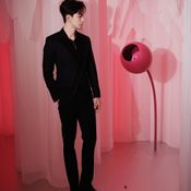 เฉินซิงซวี่ นักแสดงที่เติบโตมากับวงการบันเทิง