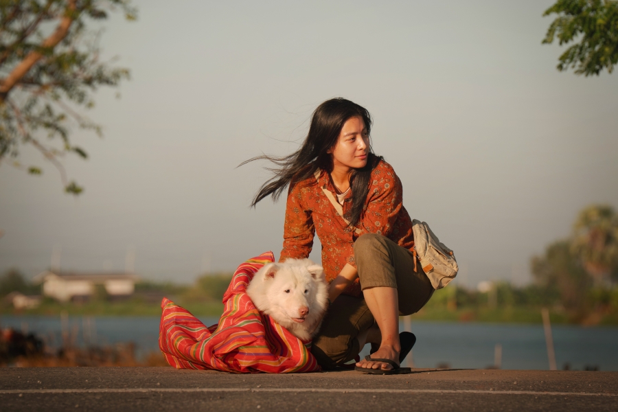 โกฮัง..หัวใจโกโฮม