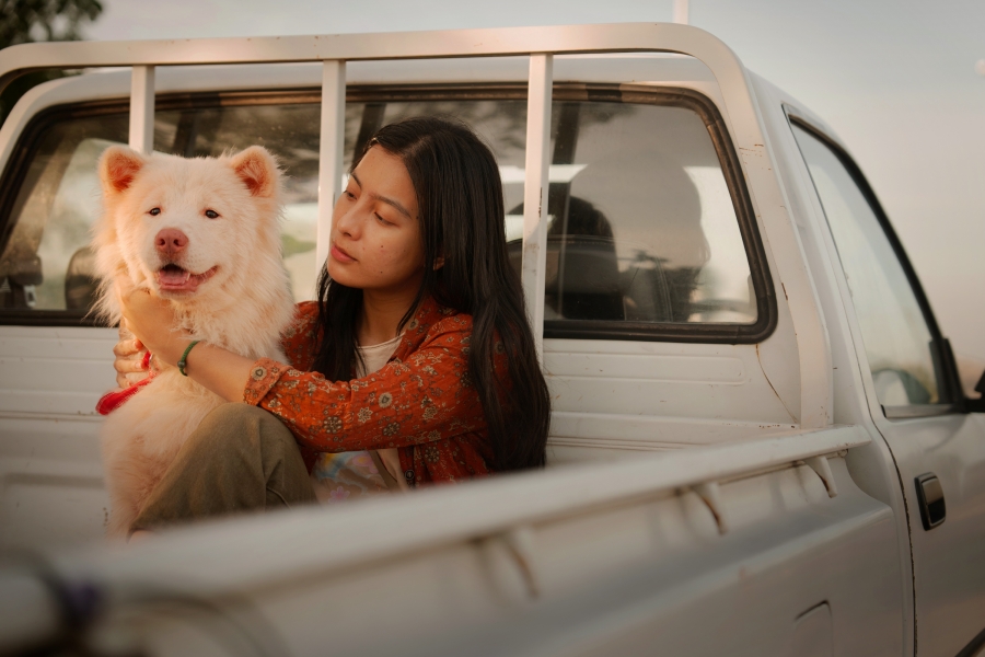 โกฮัง..หัวใจโกโฮม