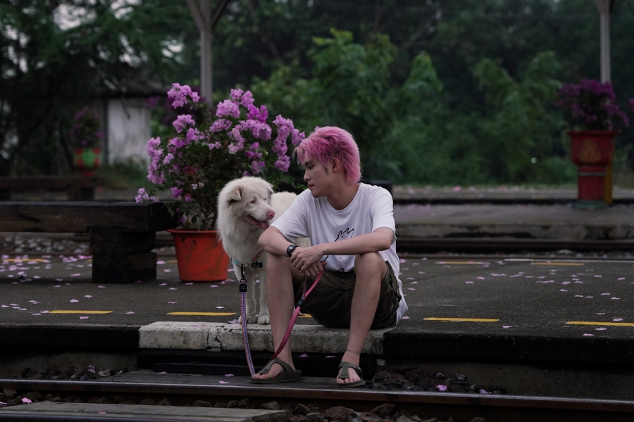 โกฮัง..หัวใจโกโฮม