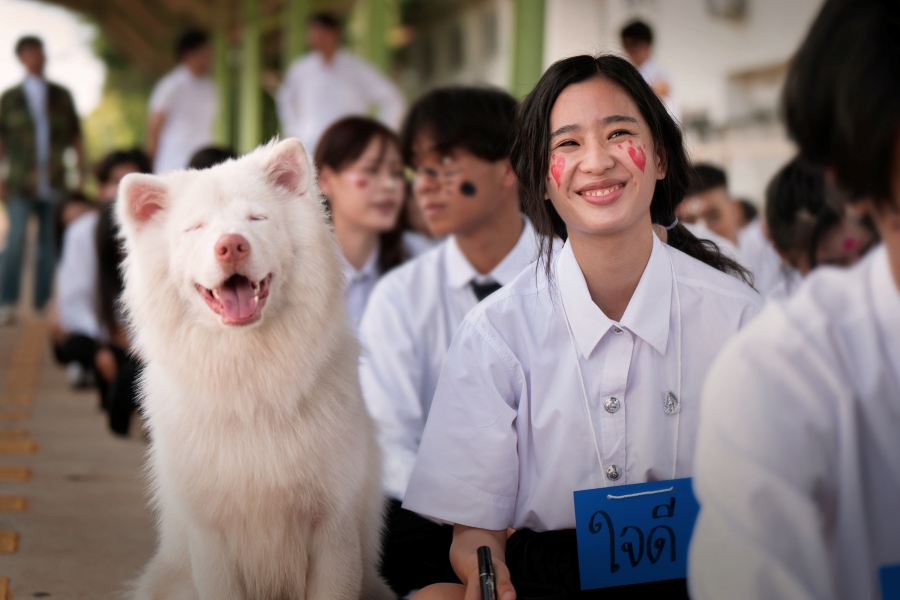 โกฮัง..หัวใจโกโฮม