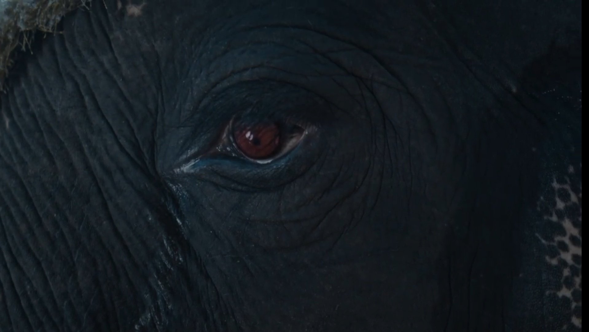 ฟีดแบคคนดู หงสาวดี ตอนที่ 1