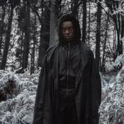 Harry Potter ฉบับซีรีส์