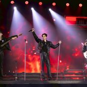 FORCE BOOK FUNTOPIA FANCON