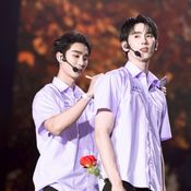 FORCE BOOK FUNTOPIA FANCON