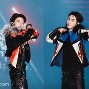 FORCE BOOK FUNTOPIA FANCON