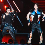 FORCE BOOK FUNTOPIA FANCON