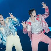 FORCE BOOK FUNTOPIA FANCON