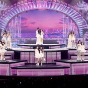 Blush Blossom Fan Fest 2026