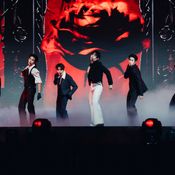 DMD LINE UP 2026 ซีรีส์