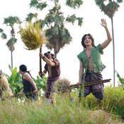 อัศจรรย์วันทอง ภาพยนตร์