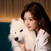 ซุนเชียน ประวัติ