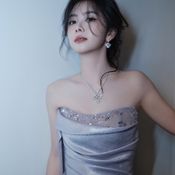 ประวัติ ถานซงอวิ้น Tan Songyun