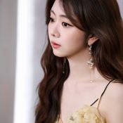ประวัติ ถานซงอวิ้น Tan Songyun