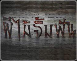 ผีไม้จิ้มฟัน