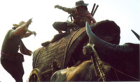 ฅนไฟบิน