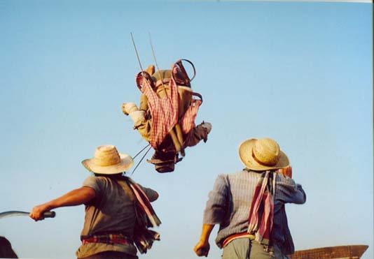 ฅนไฟบิน