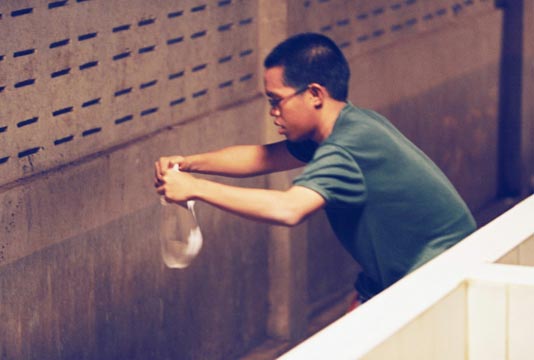 เขาชนไก่