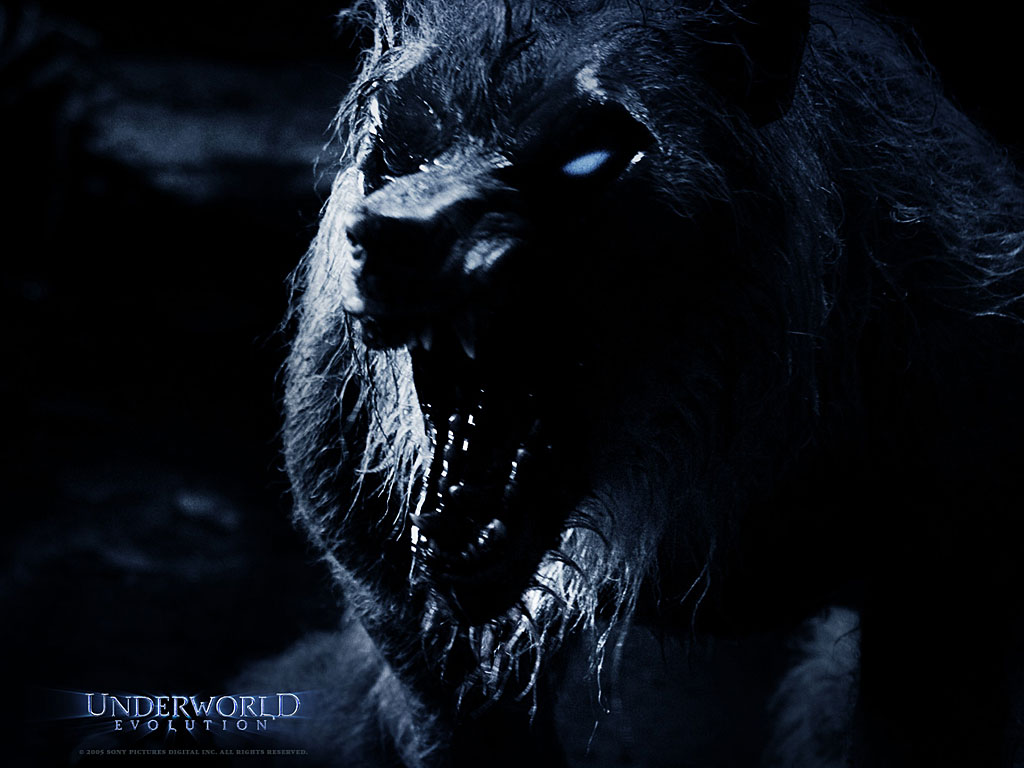 UNDERWORLD EVOLUTION