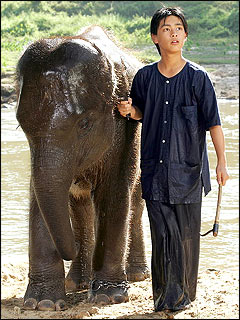 ยูยะ ยากิระ