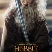 The Hobbit: The Desolation of Smaug