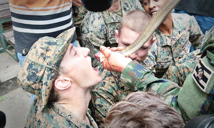 ทหารอเมริกัน-เกาหลี ซดดื่มเลือดงูสดๆ ฝึกคอบราโกลด์เมืองไทย