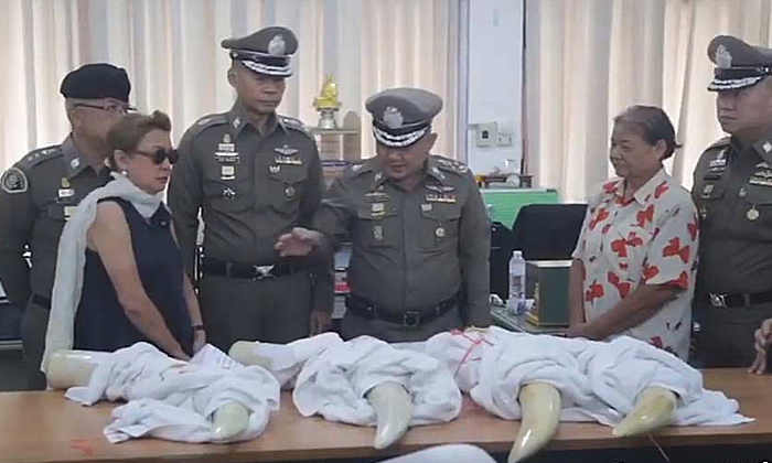 ภรรยาเปรมชัย ตีมึน! อ้างไม่รู้เป็นงาช้างแอฟริกา
