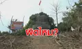 ผิดไหม? พระไม่รู้โยมถวายที่ดินให้สร้างวัด แต่ดันเป็นที่ป่าสงวน