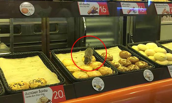 ช็อก! หนู 2 ตัววิ่งแทะขนมคาตู้โชว์ ร้านเบเกอรี่ บีทีเอสศาลาแดง