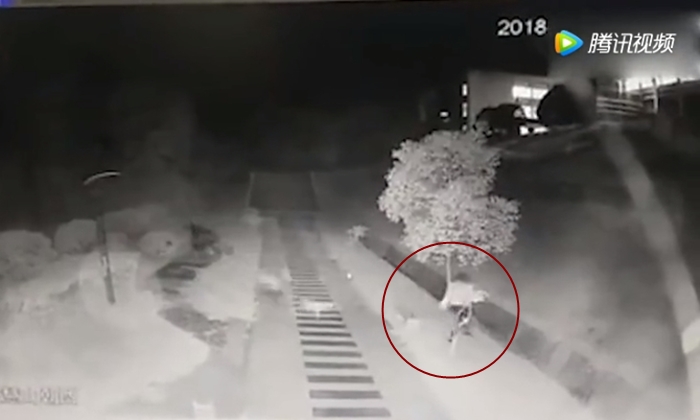นาทีสะพรึง นักศึกษาสาวจีนโดนฝูงสุนัขไล่กัด วิ่งหนีตายระทึก
