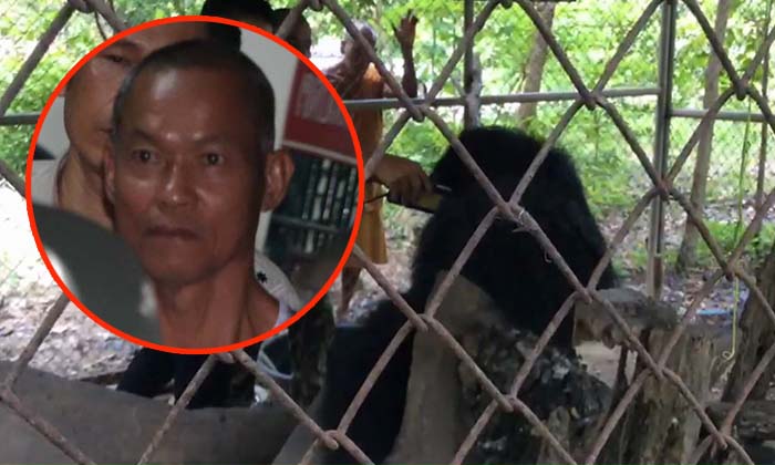 ค้น "วัดอ้อน้อย" รอบสอง พบยาสมุนไพร-สัตว์ป่าคุ้มครองหลายชนิด