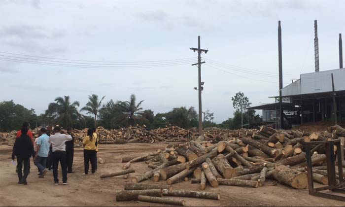 ตรวจด่วน "โรงงานไม้ยางพารา" หลังชาวบ้านร้องเรียนปล่อยมลพิษหลายปี