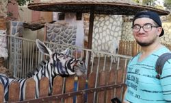 ก็ได้เหรอ? หนุ่มแฉสวนสัตว์อียิปต์ "ทาสี" บนตัวลาเป็นม้าลาย ตบตานักท่องเที่ยว