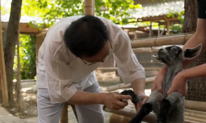 น่านับถือ อาจารย์จีนเปิดบ้านดูแลสัตว์ 200 ชีวิต ไถ่จากร้านอาหารพิสดาร-ตลาดมืด