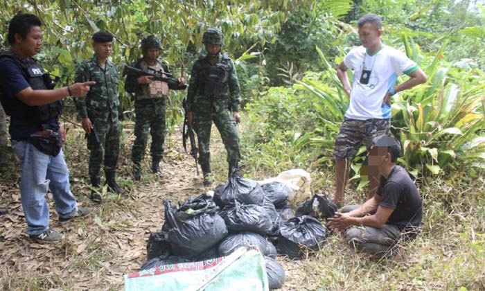 ตชด.445 รวบวัยรุ่นขน "ใบกระท่อม" ในป่าใกล้ถนนเลียบชายแดนไทย-มาเลเซีย
