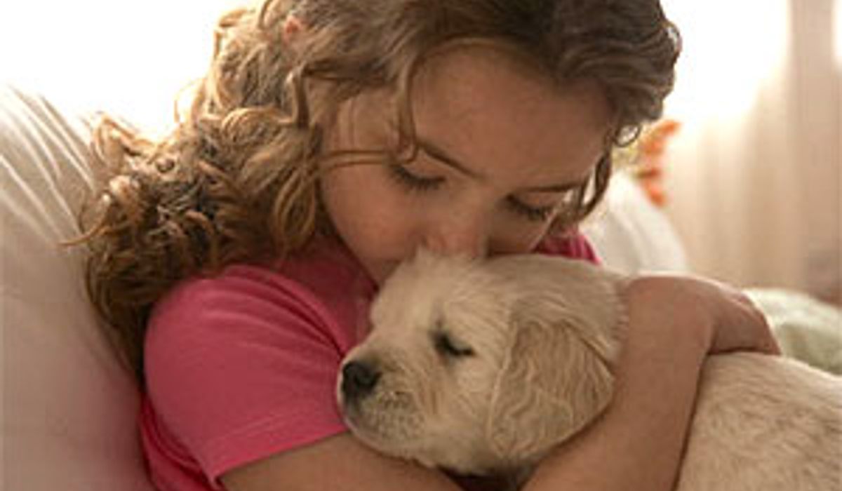 อึ้ง! พ่อปล่อยลูก 5 ขวบให้หมาแมวเลี้ยงจนเลียนแบบพฤติกรรม