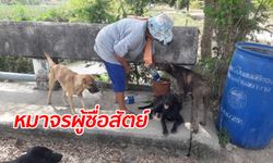 หมาจรจัดฮีโร่ โดดช่วยคุณป้าวัย 68 รอดเงื้อมมือโจร ร้องคำเดียวมาเป็นสิบตัว