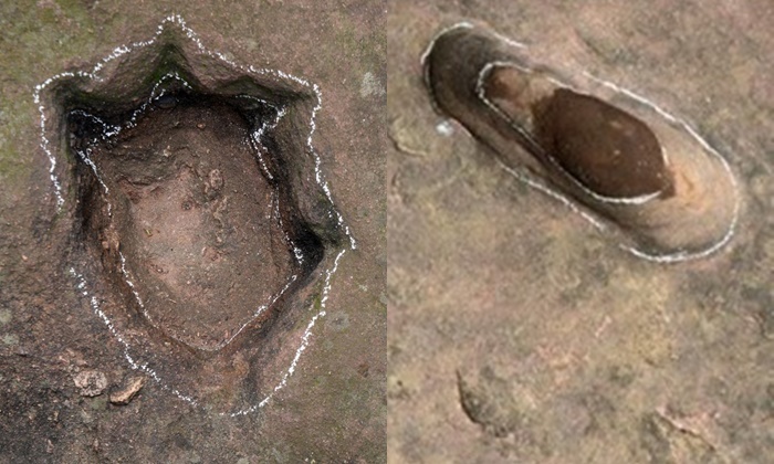 ตะลึง พบรอยเท้าไดโนเสาร์อายุ 100 ล้านปี ทางตะวันออกของจีน