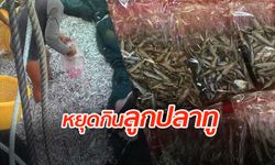 วิกฤตปลาทูไทย!  ชาวเน็ตวอน หยุดซื้อ-ขาย-ไม่จับ ลูกปลาทูตากแห้ง