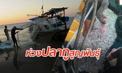 กรมประมงเผย “ปลาทูอ่าวไทย” ลดฮวบ เร่งมาตรการควบคุม หวั่นสูญพันธุ์
