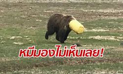 ช่วยด้วย! น้องมองไม่เห็น ตำรวจจีนช่วยทุลักทุเล หมีหัวติดอยู่กับถัง