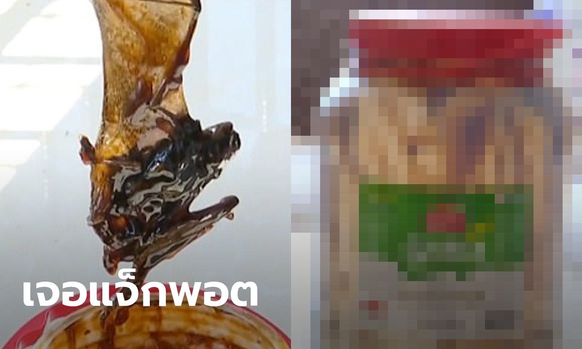 ครอบครัวจีนเจอ "ซากค้างคาว" ในกระปุกซอสหอยนางรม หลังใช้ทำอาหารมาแล้ว 3 เดือน