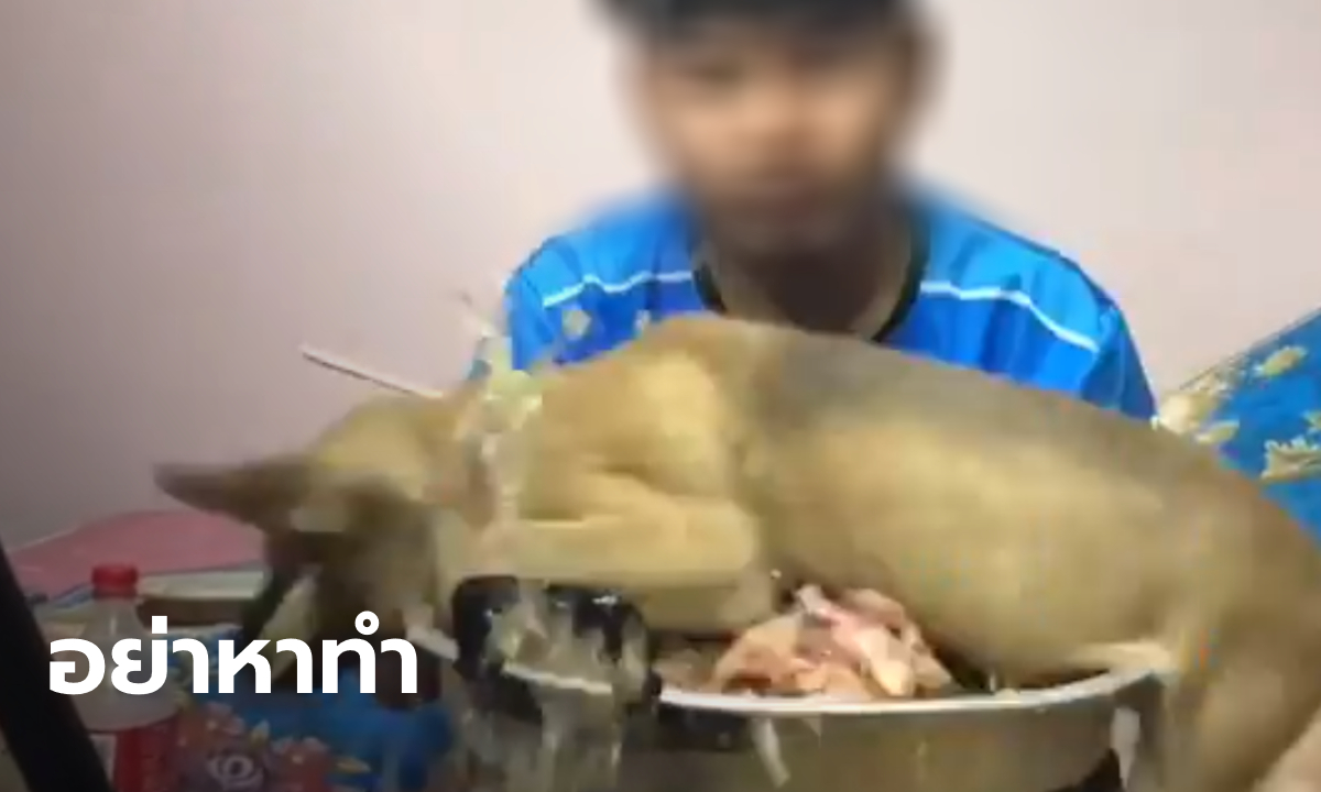 ชาวเน็ตไม่ตลก! หนุ่มทำคลิปโยนหมาใส่เตาหมูกระทะ สมาคมพิทักษ์สัตว์ไทยโร่แจ้งความ
