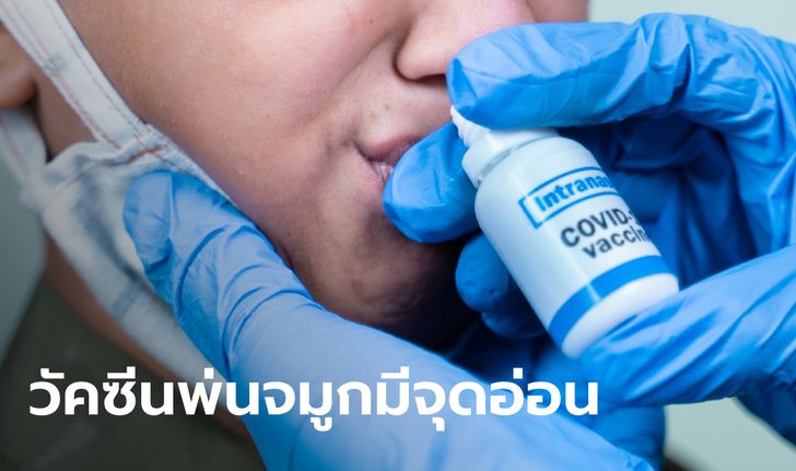 "หมอยง" เผยเหตุผลไทยไม่นำเข้า วัคซีนเชื้อเป็นแบบพ่นจมูก ทั้งที่การใช้สะดวกมาก