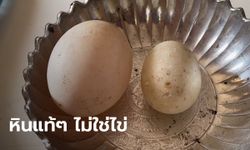 ปศุสัตว์พิสูจน์ไข่เป็ดประหลาด ยันเป็น "ก้อนหิน" ลุงป้าสุดงงไม่รู้อยู่ในเล้าได้ไง