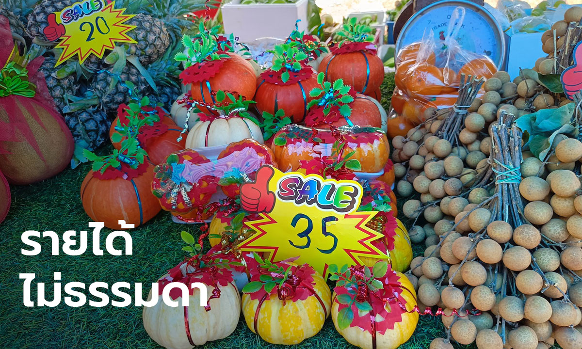 รายได้ไม่ธรรมดา! แม่ค้าฝ่าวิกฤติรุกตลาดออนไลน์ รายได้ดีเกินคาด (มีคลิป)