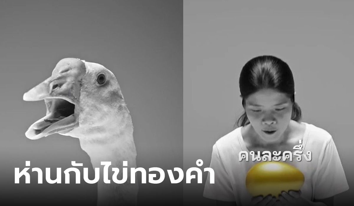 ไทยสร้างชาติ ปล่อยคลิป “ห่าน” เตือนสังคมสะท้อนนโยบายช่วยประชาชน