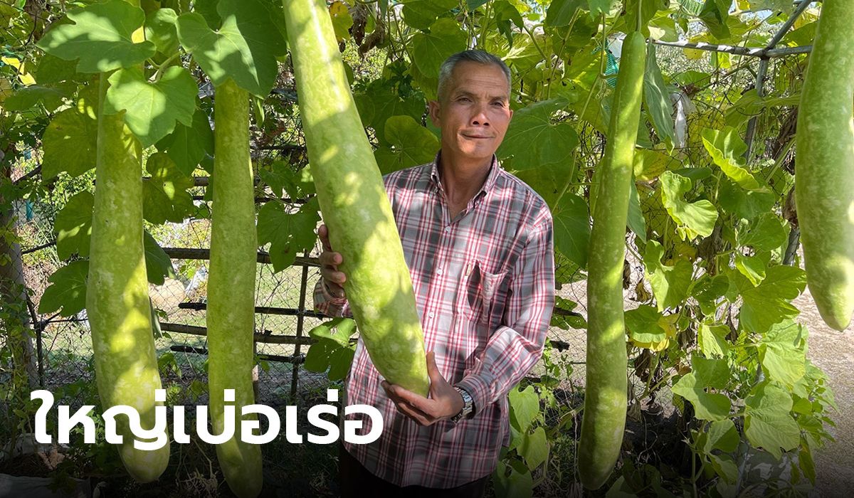 โอ้โห! ผลเดียวอิ่มทั้งหมู่บ้าน 'หมากน้ำ' ลูกละ 20 กิโลกรัม